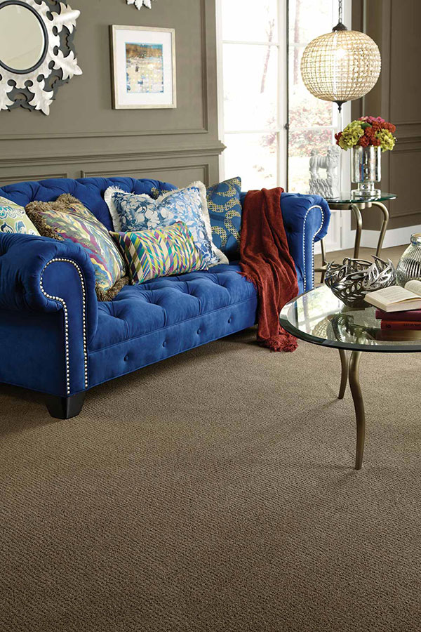 Living Room with a royal blue couch as a statement piece of furniture